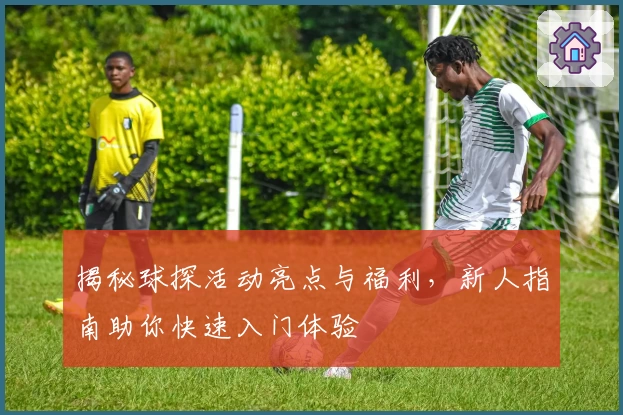 揭秘球探活动亮点与福利，新人指南助你快速入门体验
